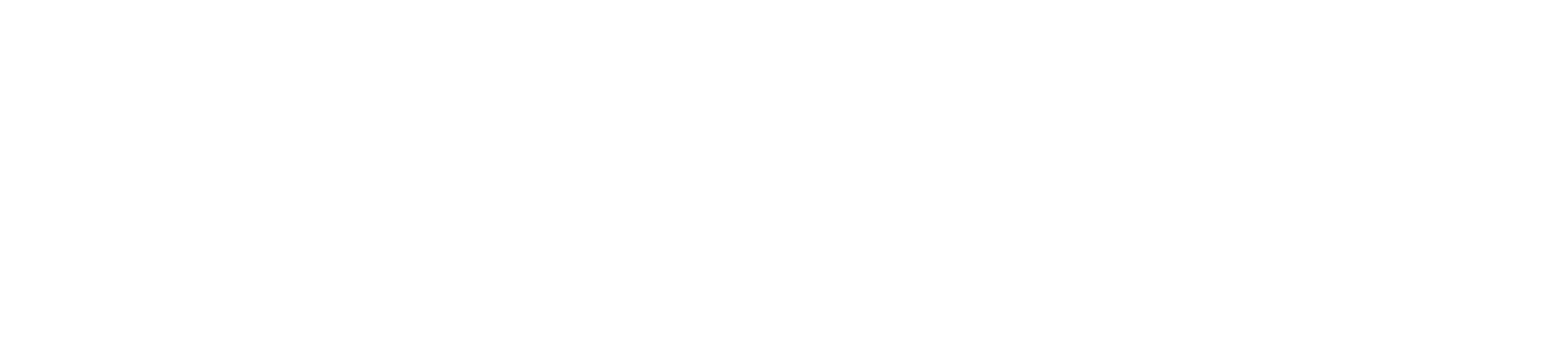 coverity logo blanc