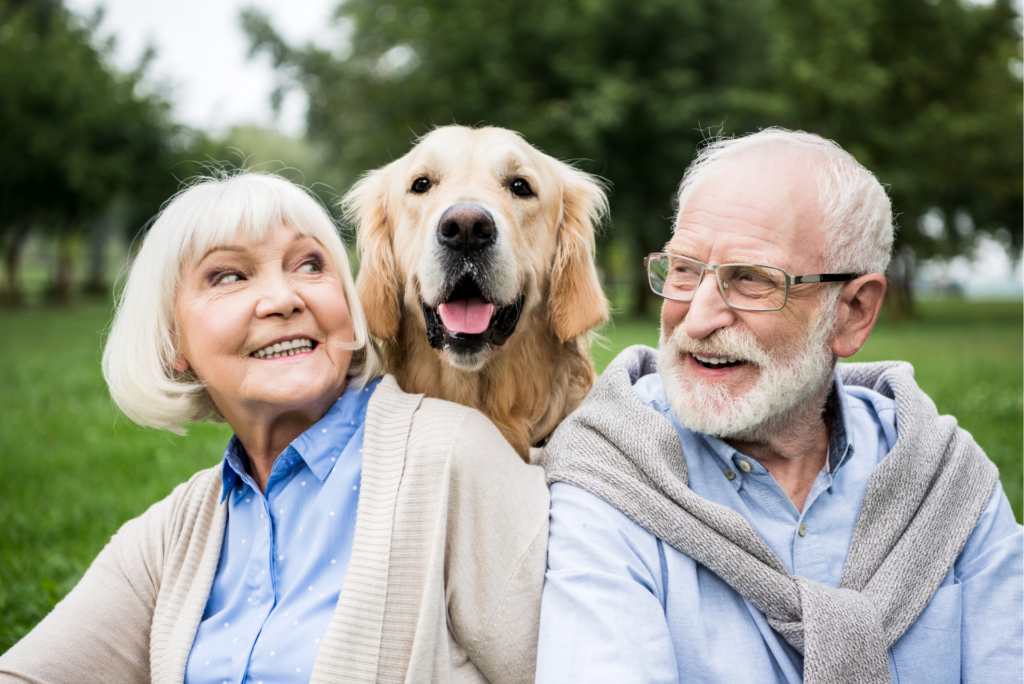 Assurance animaux - Chouette Assurance - 1